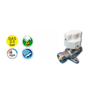VÁLVULA DE SEGURIDAD PARA GAS ROAI